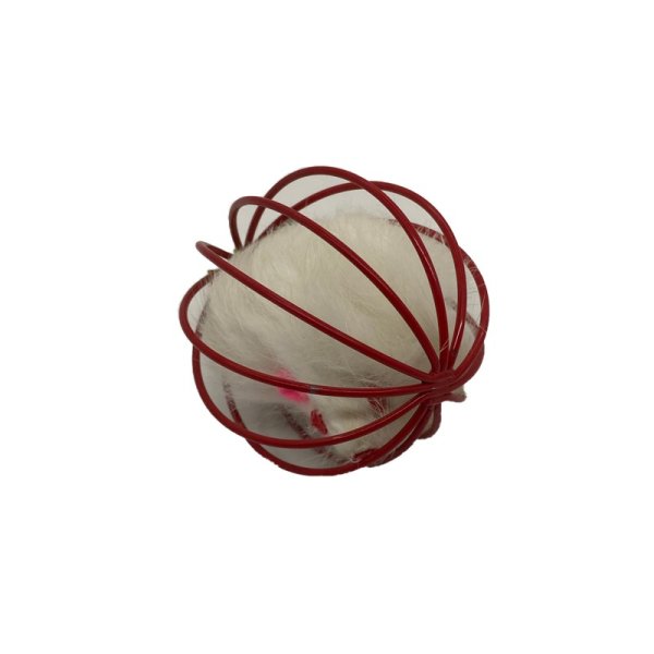 Drahtgitterball