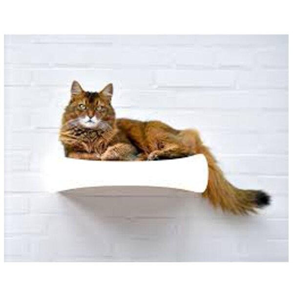 Le Plateau S Wall-Kitt-000