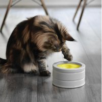 BeOneBreed Puzzle-Futternapf für Ihre Katze