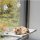 Fensterh&auml;ngematte f&uuml;r Katzen Velours grau