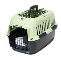Transportbox  Minze ML